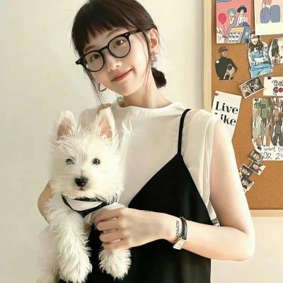 高更门边的狼